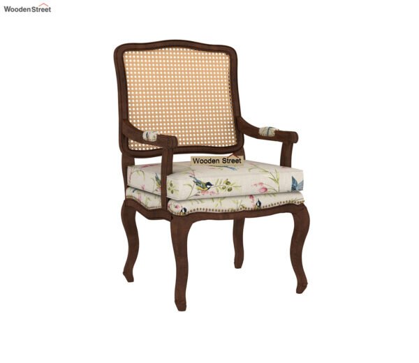 Kelvin Cane Arm Chair with Backrest