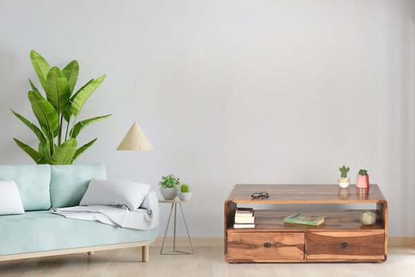 Vaanak Sheesham Wood Coffee Table